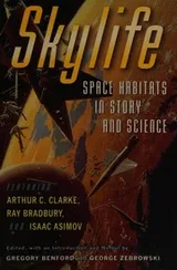 Cover of Skylife