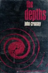 Cover of The depths