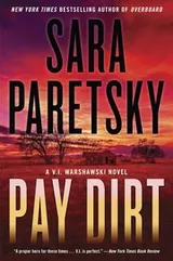 Cover of Pay Dirt
