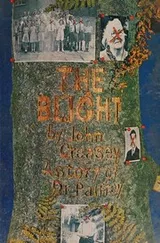 Cover of The blight