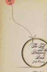 Cover of The Toff and the runaway bride