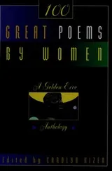Cover of 100 Great Poems by Women