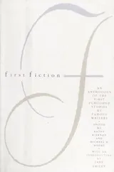 Cover of First Fiction