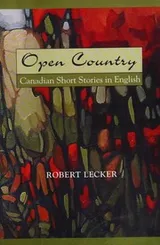 Cover of Canadian short stories in English