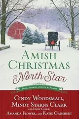 Cover of Amish Christmas at North Star