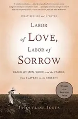 Cover of Labor of Love, Labor of Sorrow