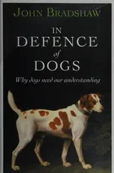Cover of In Defence Of Dogs