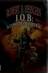 Cover of Job, a comedy of justice