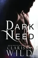 Cover of Dark Need