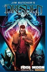 Cover of Dresden Files Pt. 1