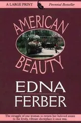Cover of American Beauty