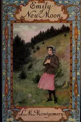 Cover of Emily of New Moon
