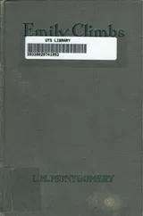 Cover of Emily climbs