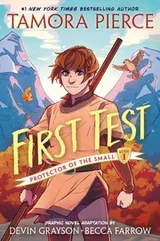 Cover of First Test Graphic Novel : (a Graphic Novel)