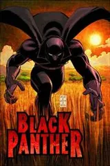 Cover of Black Panther