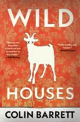 Cover of Wild Houses