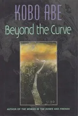 Cover of Beyond the Curve