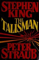 Cover of The talisman