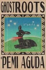 Cover of Ghostroots