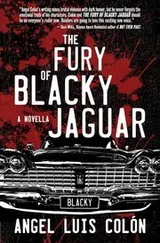 Cover of Fury of Blacky Jaguar