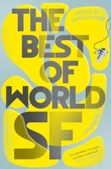 Cover of Best of World SF