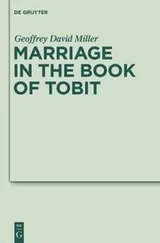 Cover of Marriage in the book of Tobit
