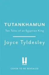 Cover of Tutankhamun - Pharoah, Icon, Enigma