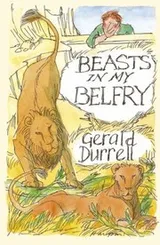 Cover of Beasts in My Belfry