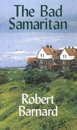 Cover of The bad samaritan