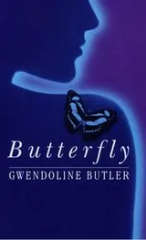 Cover of Butterfly