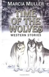 Cover of Time of the wolves