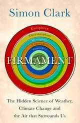 Cover of Firmament