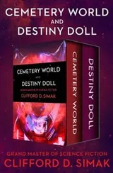 Cover of Cemetery World and Destiny Doll