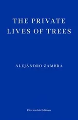 Cover of Private Lives of Trees