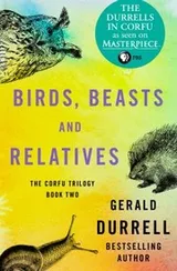 Cover of Birds, Beasts and Relatives