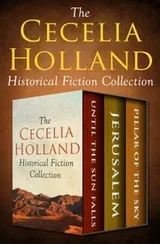 Cover of Cecelia Holland Historical Fiction Collection