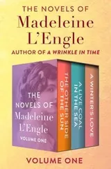 Cover of Novels of Madeleine l'Engle Volume One