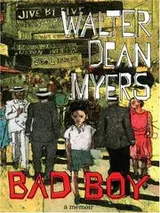 Cover of Bad Boy