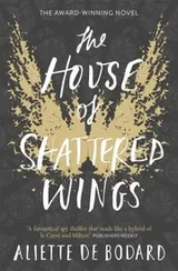 Cover of House of Shattered Wings