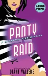 Cover of Panty Raid