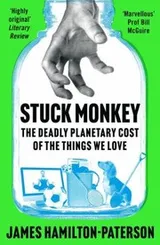 Cover of Stuck Monkey
