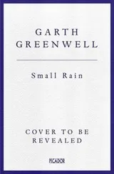 Cover of Small Rain
