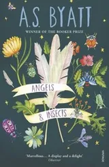 Cover of Angels and Insects