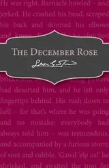 Cover of December Rose