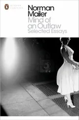 Cover of Mind of an Outlaw