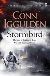 Cover of Stormbird