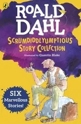 Cover of Roald Dahl's Scrumdiddlyumptious Story Collection