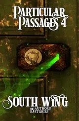 Cover of Particular Passages 4