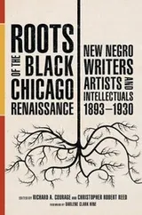 Cover of Roots of the Black Chicago Renaissance