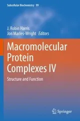 Cover of Macromolecular Protein Complexes IV